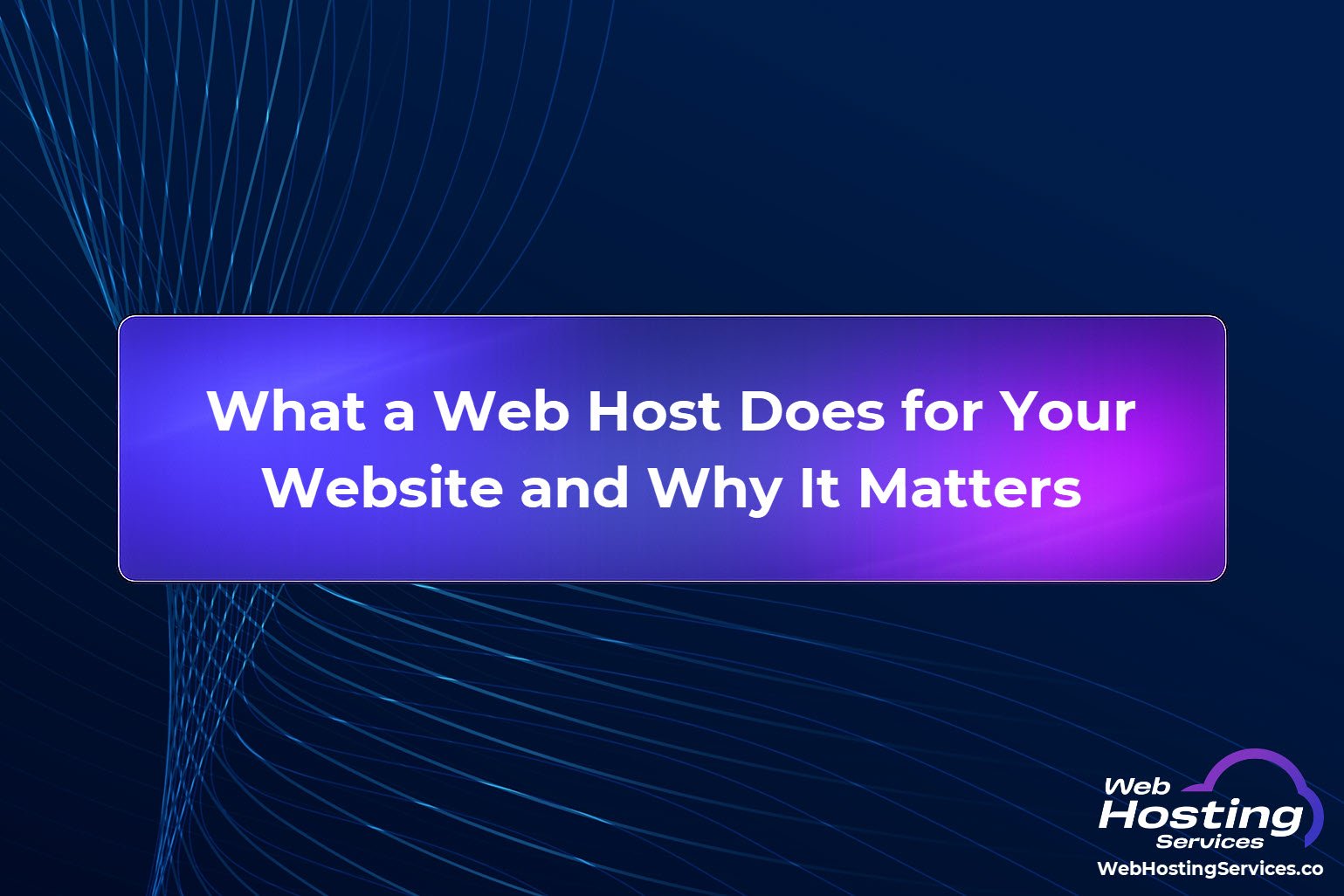 What a Web Host Does for Your Website and Why It Matters